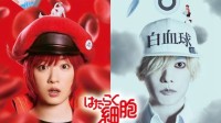 《工作细胞》真人电影预告公开 2024年12月上映