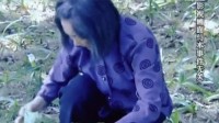 老太偷菜摔伤反要菜主赔偿8万 法院:驳回诉求!