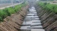 河道水位下降露出满河底地笼 网友:鱼犯了天条吗?