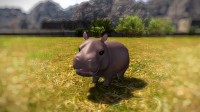 泰国迷你河马爆火波及《FF14》社区 SE官方也玩梗