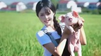空姐裸辞回家养猪腌入味 狐狸精转身的动态图