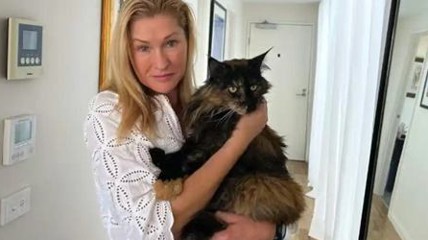 猫咪被误留飞机上一天跨国飞行三次 航司道歉