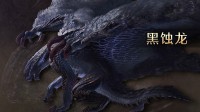 《怪猎荒野》新怪介绍:黑蚀龙 影蜘蛛回归!风铗龙首