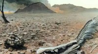 现实版《沙丘》？科学家测算出人类灭绝时间