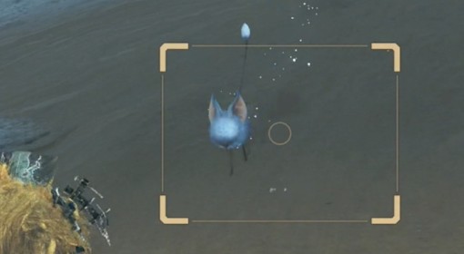 研究报告终结者 《怪猎荒野》稀有环境生物位置地图