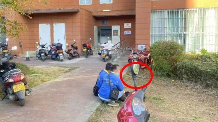 宠物猫碰掉钢管 15楼砸伤送水工：警方已调解