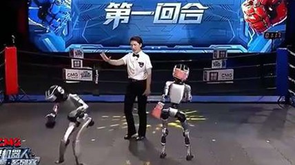 美女机器人击倒对手后拍屁股挑衅 团队：预设动作