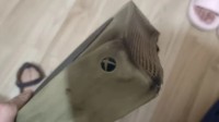 玩家房子起火惨不忍睹：但XSS主机只伤到外壳！
