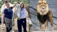 丹麦女子将女儿的小马捐给动物园喂狮子 声称不后悔