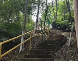 国庆陪家人去逛森林公园：人山人海 下次不来了