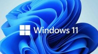 Win11安全性史诗级升级:装软件需先刷脸