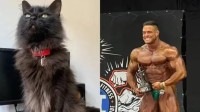 巴西31岁健美冠军突然中风身亡 疑因爱猫去世太伤心