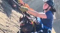 金山一只狗掉落悬崖 被救起后给每个消防员一个吻
