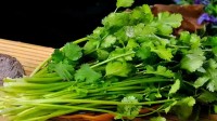突然爱上香菜可能因为你老了：15%人自带反香菜基因