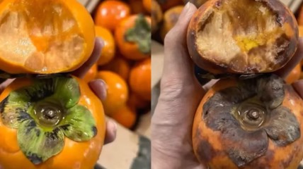 “仅退款”新骗术！AI造假视频 商家真没招了……