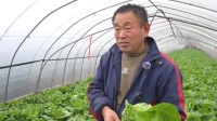 90后小伙突发心梗离世 留上万斤蔬菜父亲获帮助