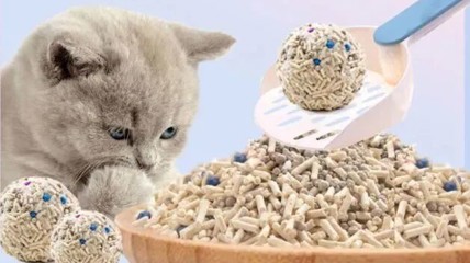 猫砂根本不赚钱？明明卖得比大米还要贵！