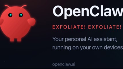 一只