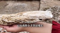 千年