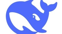 DeepSeek首次引入外部资本！被曝首次融资20亿